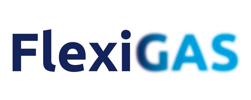 logo flexigas