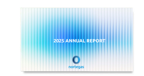 Annual Report 2025